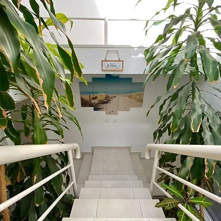 公寓 314 Colony Club 卡门港