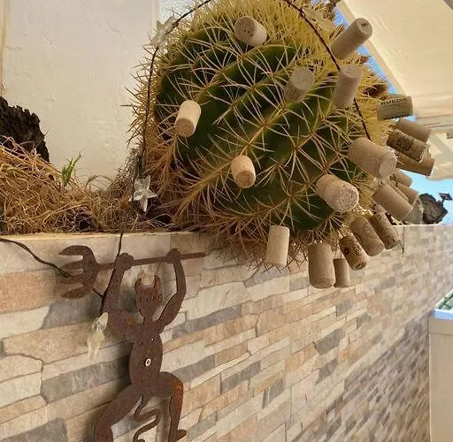 314 Colony Club 卡门港